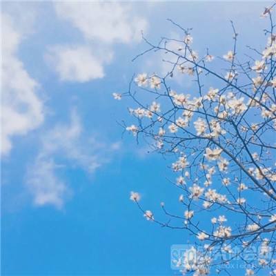 半岛彩票手机app下载