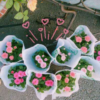 万博官网manbetx-登录入口