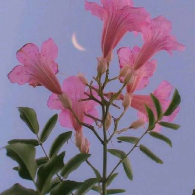 快三彩票app平台官方下载