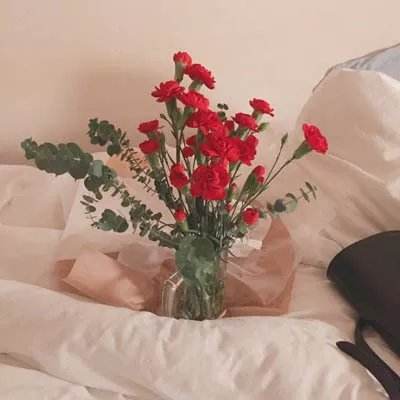 波胆app官网app下载