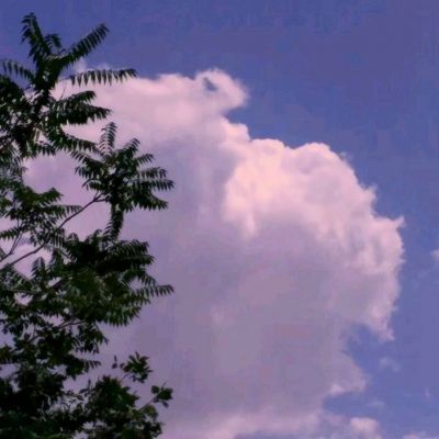 经典牛牛手机app下载